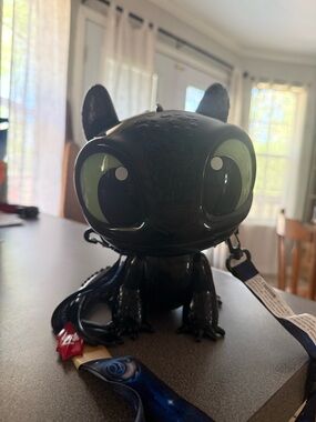 Toothless popcorn bucket from universal studios Florida